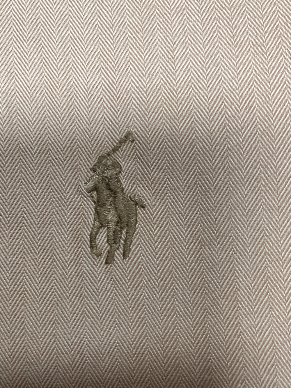 Polo by Ralph Lauren Embroidered Polo Player in Taupe on Light Fabric